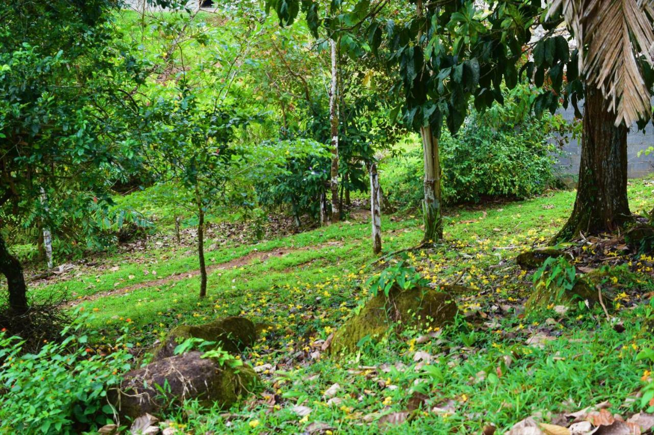 Hotel Rio Celeste Finca L' Etoile Celeste El Achiote Bagian luar foto